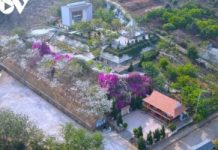 Bảo tồn và phát huy giá trị di tích lịch sử gắn với du lịch ở Sơn La