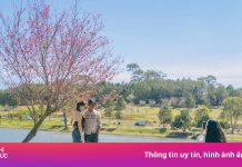 Homestay Măng Đen cạn phòng, Đà Lạt vẫn ‘thoáng’ dịp 30/4