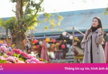 Những trải nghiệm không nên bỏ lỡ khi khám phá Sun World Ha Long