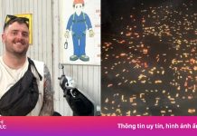 Khách Tây nhìn cảnh ‘như giấy màu’ từ cửa sổ máy bay qua Việt Nam