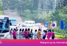 Xác minh vụ HDV cho khách dàn hàng chụp ảnh giữa đường tại Măng Đen