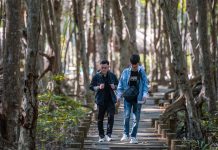 Con đường xanh mướt đẹp như tranh dẫn đến chiến khu Rừng Sác nổi tiếng