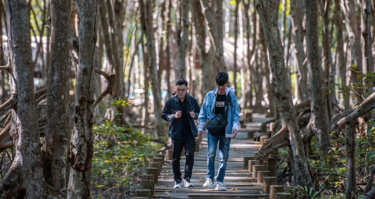 Con đường xanh mướt đẹp như tranh dẫn đến chiến khu Rừng Sác nổi tiếng