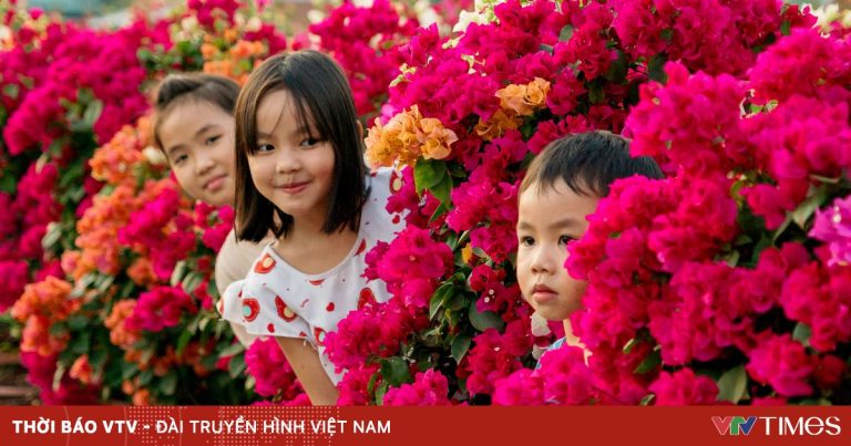 Làng hoa giấy Phú Sơn: Điểm đến đầy sắc màu ở xứ dừa Bến Tre Làng hoa giấy Phú Sơn: Điểm đến đầy sắc màu ở xứ dừa Bến Tre