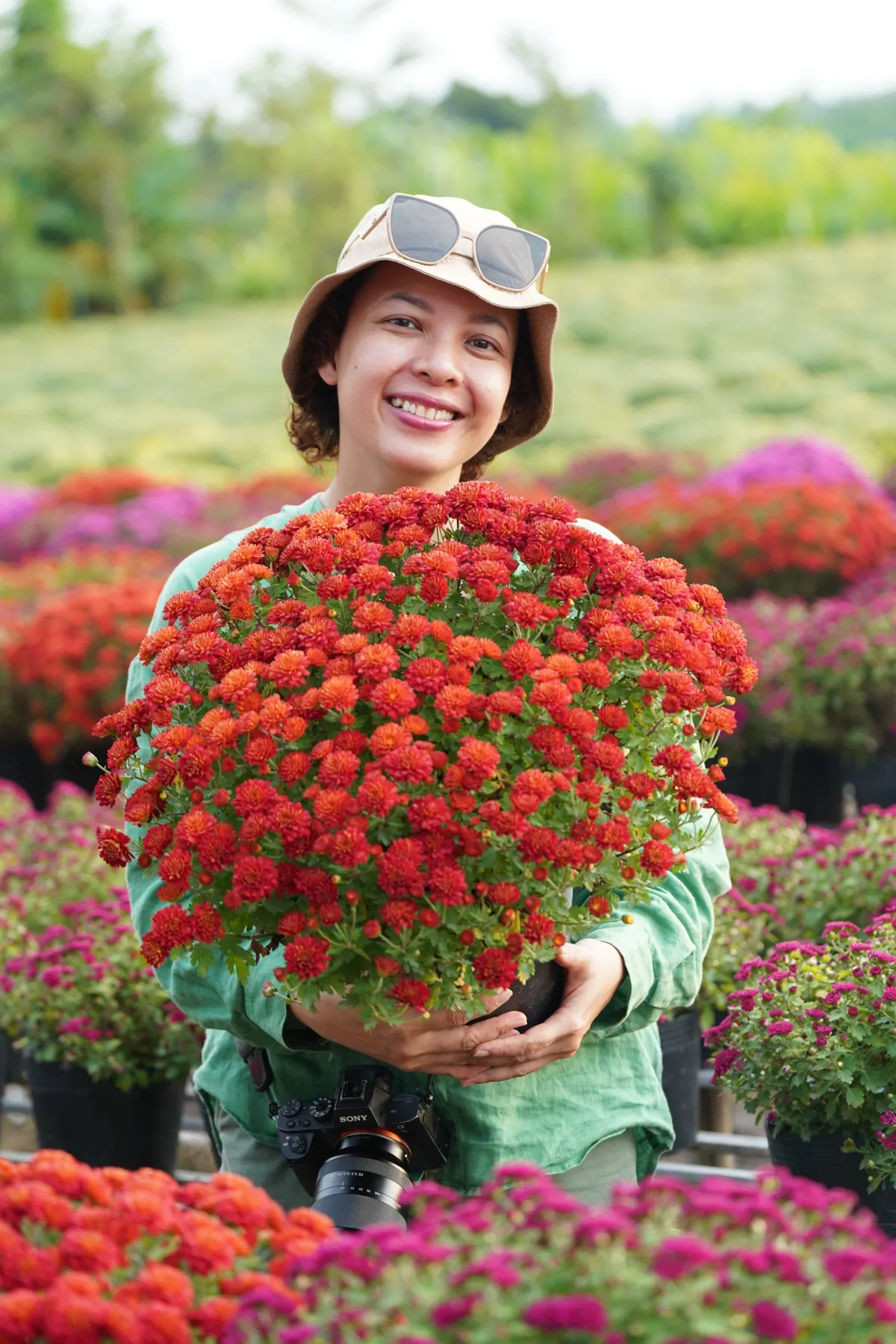 Làng hoa giấy Phú Sơn: Điểm đến đầy sắc màu ở xứ dừa Bến Tre - Ảnh 4.