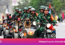 Quân đội và cảnh khuyển Việt trên báo ngoại