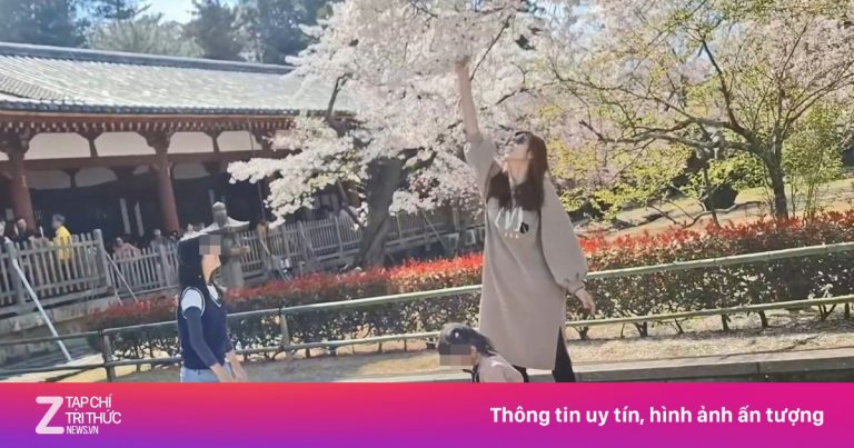 Khách Đài Loan trả giá vì rung cây hoa anh đào tại Nhật Bản Khách Đài Loan trả giá vì rung cây hoa anh đào tại Nhật Bản