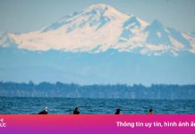 Cuộc sống tại thị trấn Mỹ nằm lọt thỏm trong lãnh thổ Canada