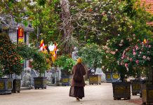 Ngôi chùa đẹp lạ có nhiều cổ vật ở ngoại thành Hà Nội, khách tò mò tới tham quan