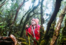 Ngủ đêm trong rừng, dậy từ 3h để “săn” bình minh ở độ cao gần 3.000m