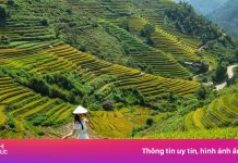 ‘Vùng vàng’ du lịch Tây Bắc khi Lào Cai và Yên Bái sáp nhập