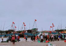 Phiên chợ đặc biệt ở Nam Định: Người bán chưa đến, khách đã chen chân chờ