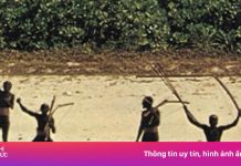 Khách Mỹ bị bắt vì xâm nhập vào bộ tộc cự tuyệt thế giới ở Ấn Độ