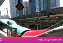 Cảnh tàu hỏa ‘hôn nhau’ gây sốt ở Nhật Bản