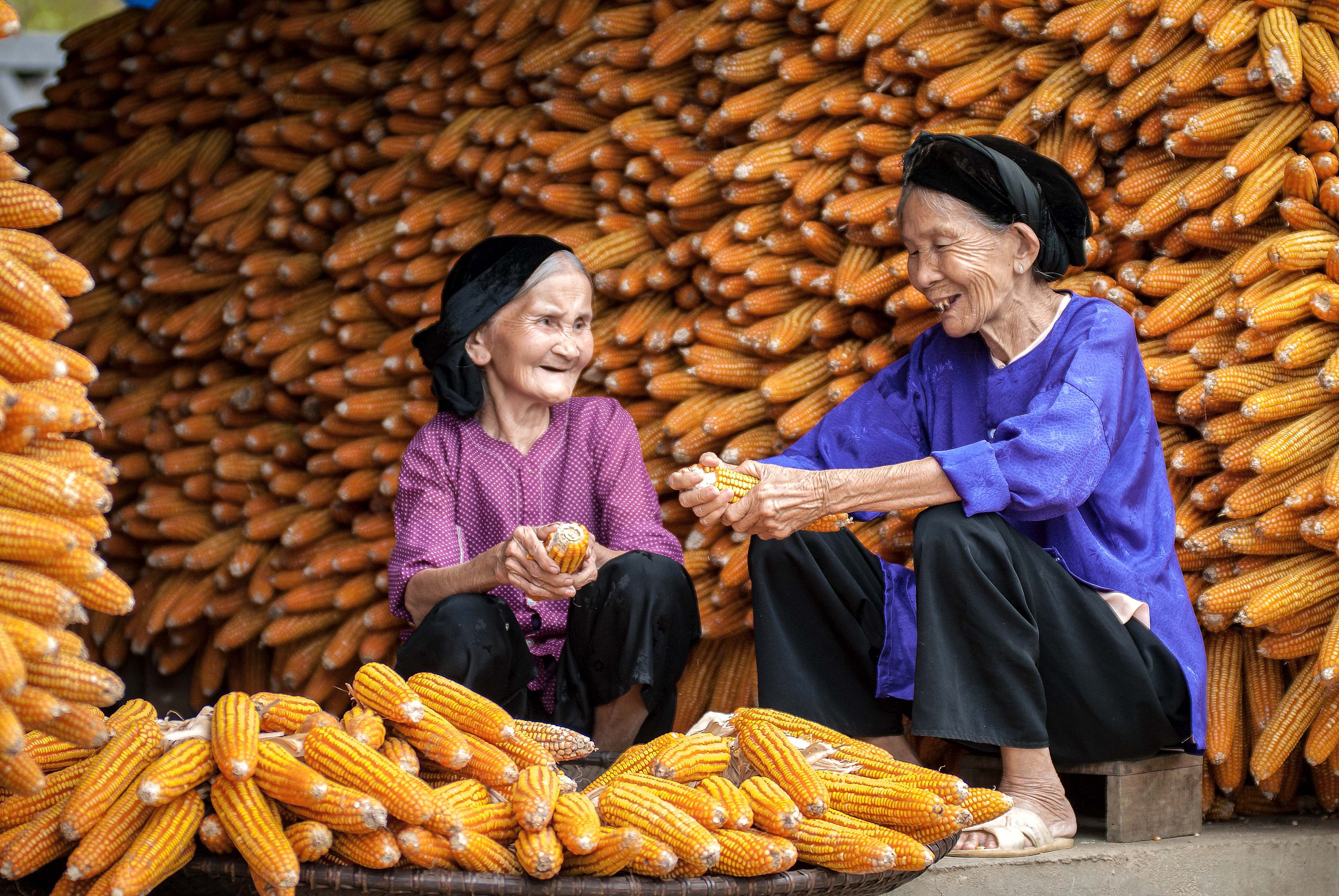 Hai Duong anh 1