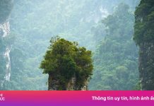 Sáng săn mây Hà Giang, tối cắm trại Tuyên Quang sau sáp nhập tỉnh