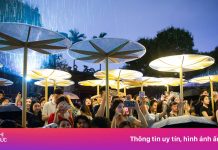 Đội mưa tầm tã xem tour đêm miễn phí tại Văn Miếu