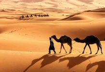 Xác ướp 7.000 năm tuổi tiết lộ bí mật về quá khứ của sa mạc Sahara