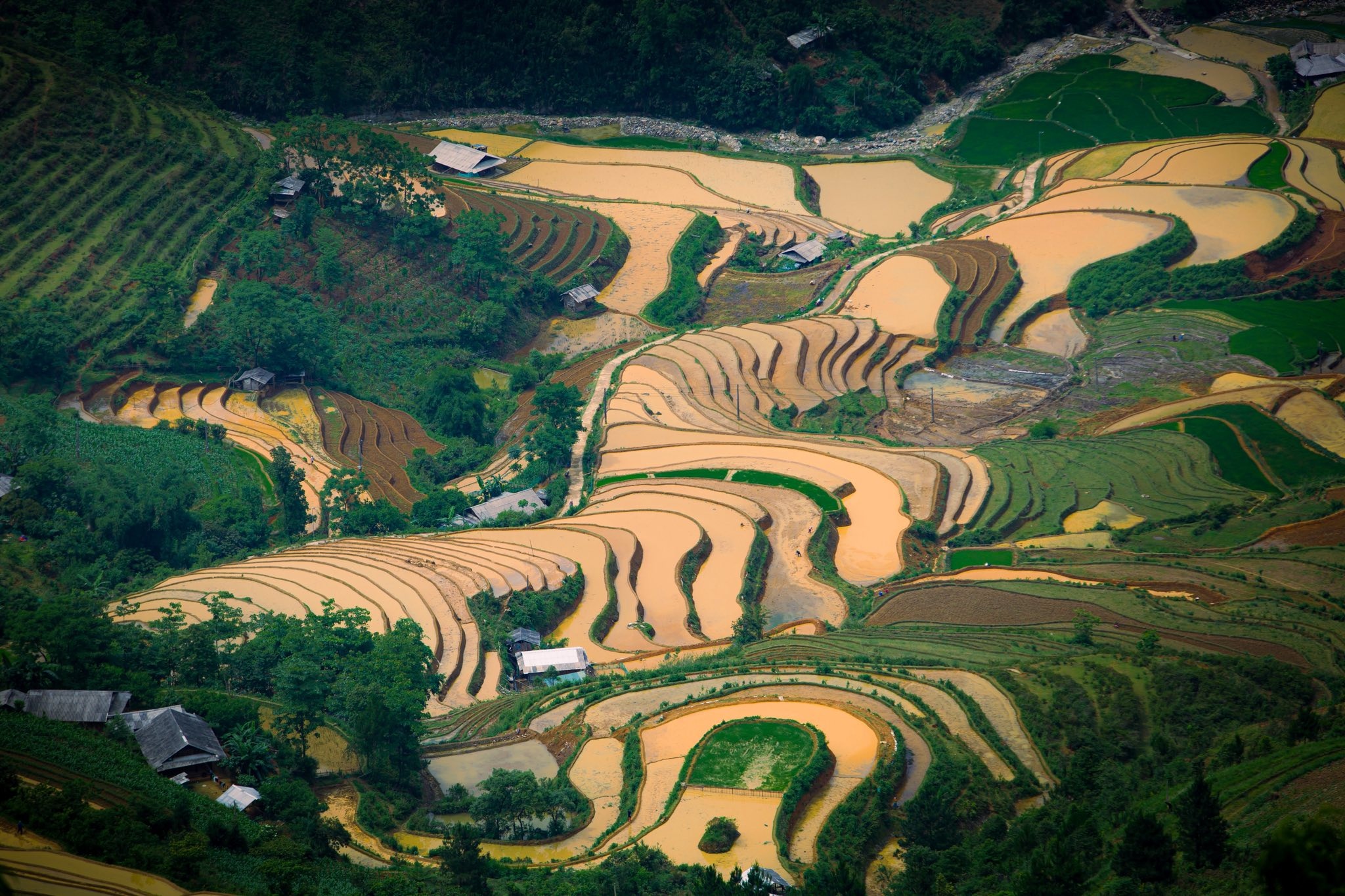 Mu Cang Chai anh 1