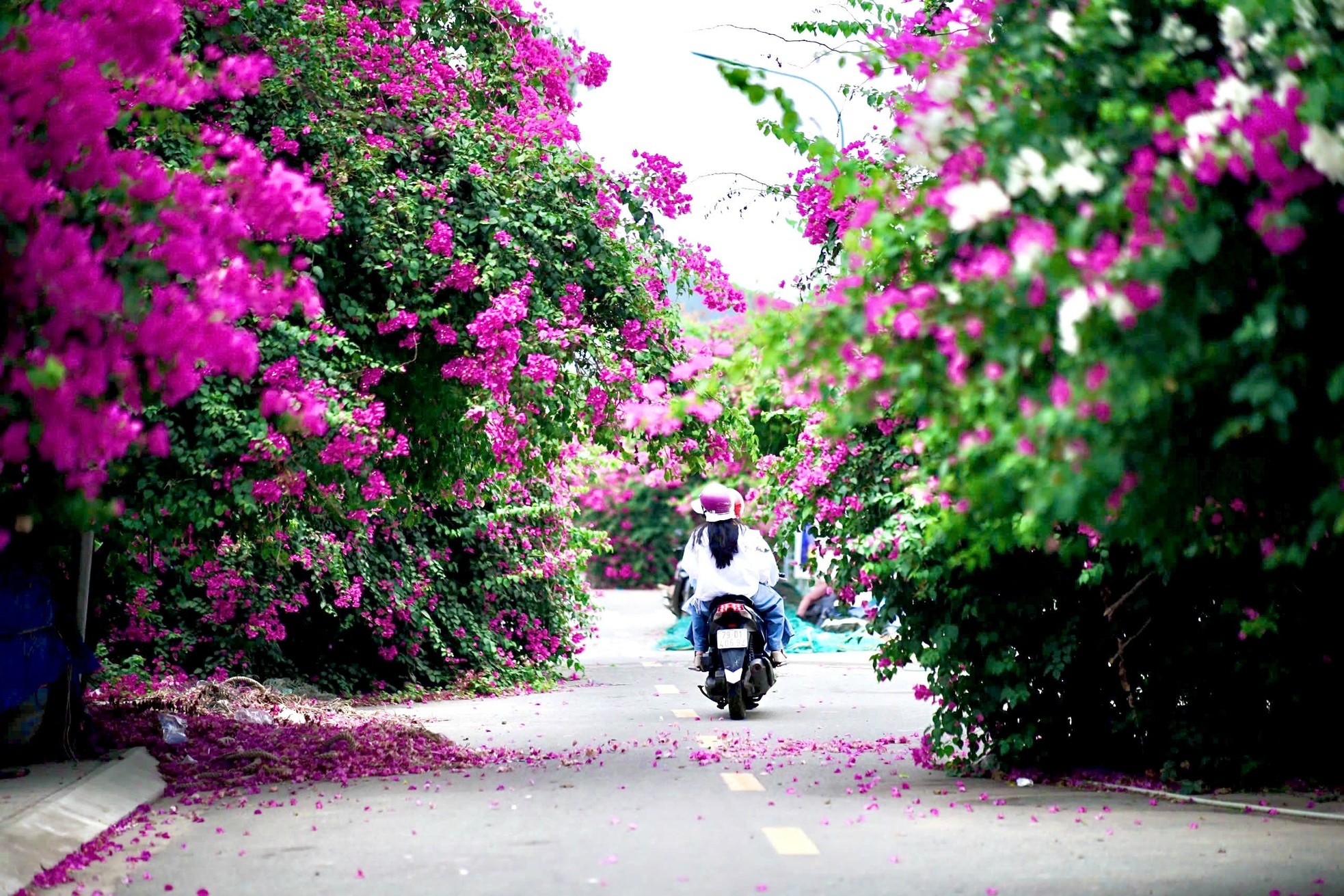 Nha Trang anh 1