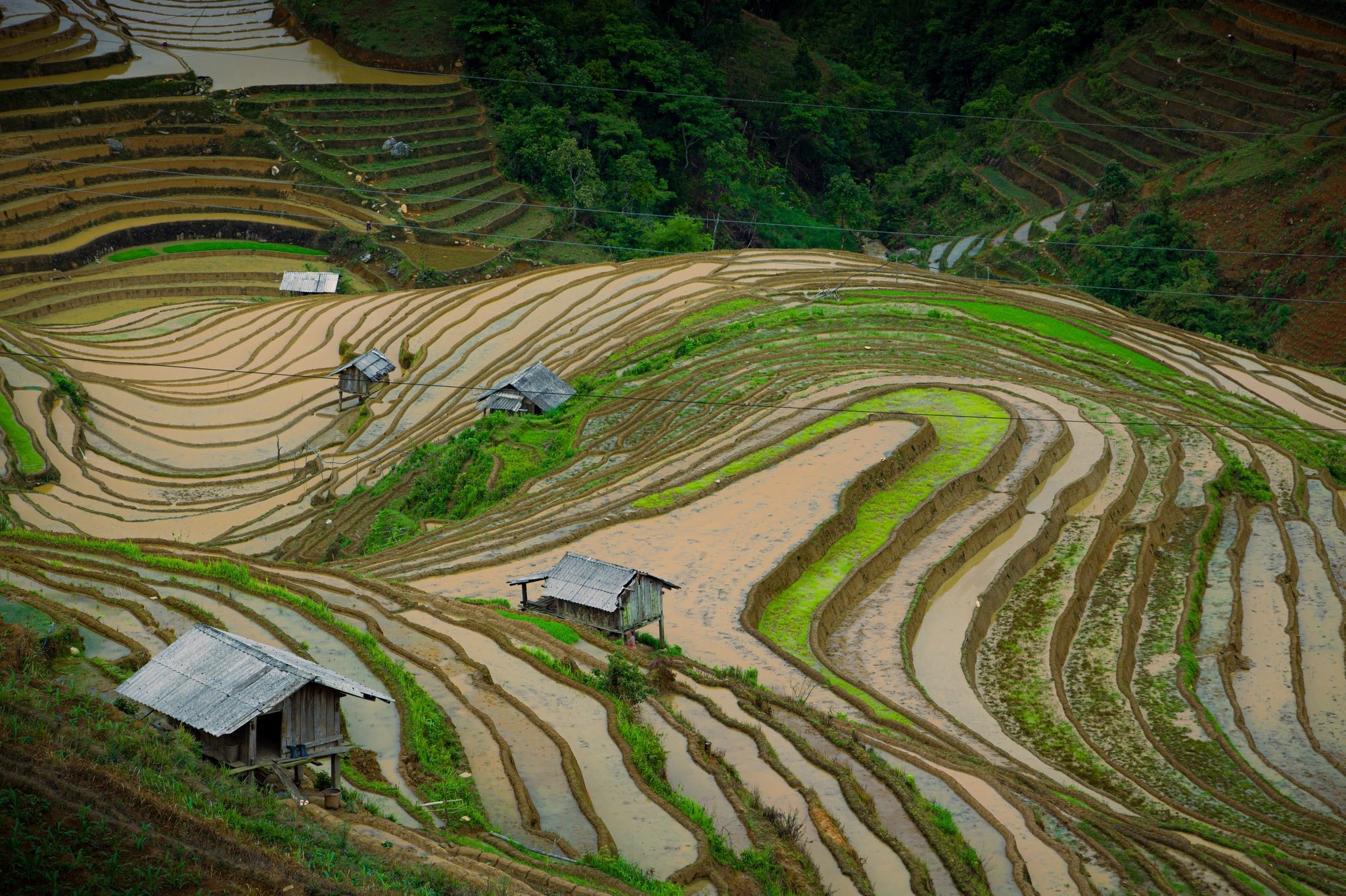 Mu Cang Chai anh 10