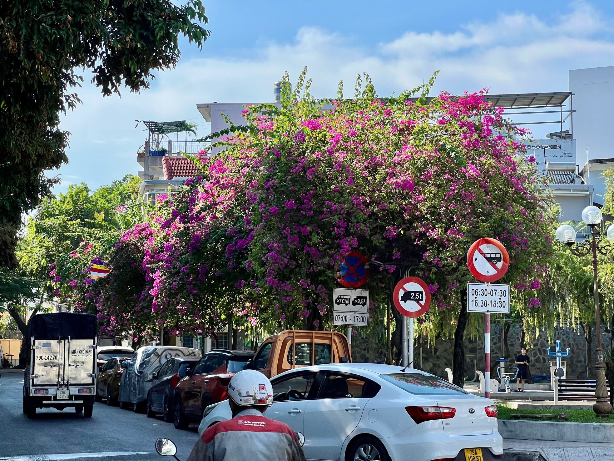 Nha Trang anh 10