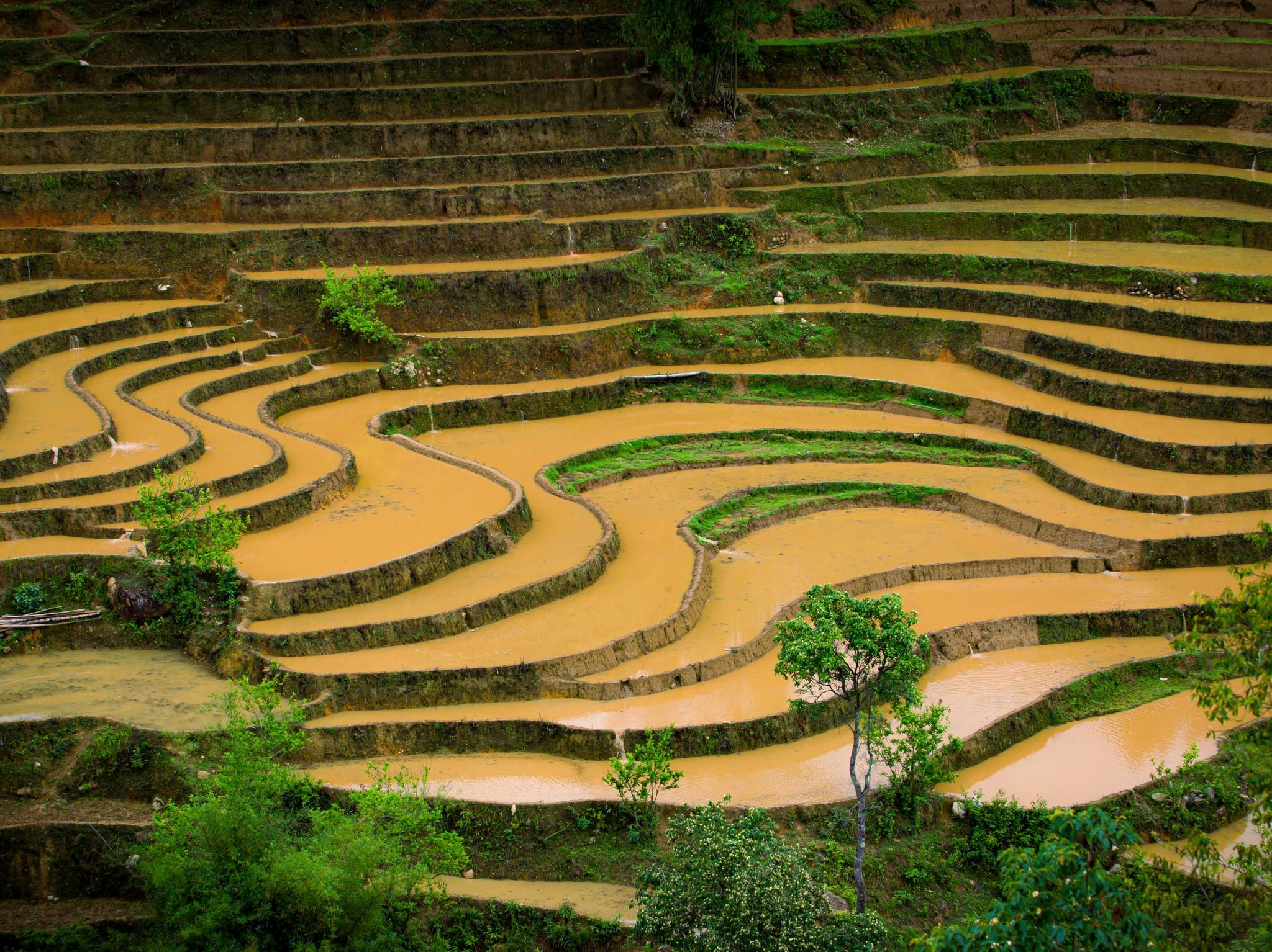 Mu Cang Chai anh 11