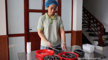 Thơm mát bánh thạch đen Thơm mát bánh thạch đen