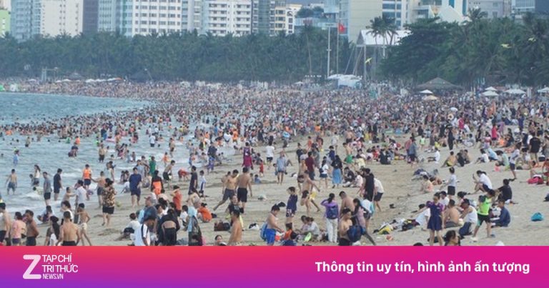 Xuất hiện sứa lửa nguy hiểm ở biển Nha Trang Xuất hiện sứa lửa nguy hiểm ở biển Nha Trang