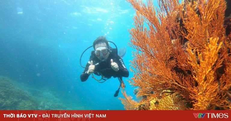 Nha Trang vào Top điểm đến hàng đầu thế giới mùa hè 2025