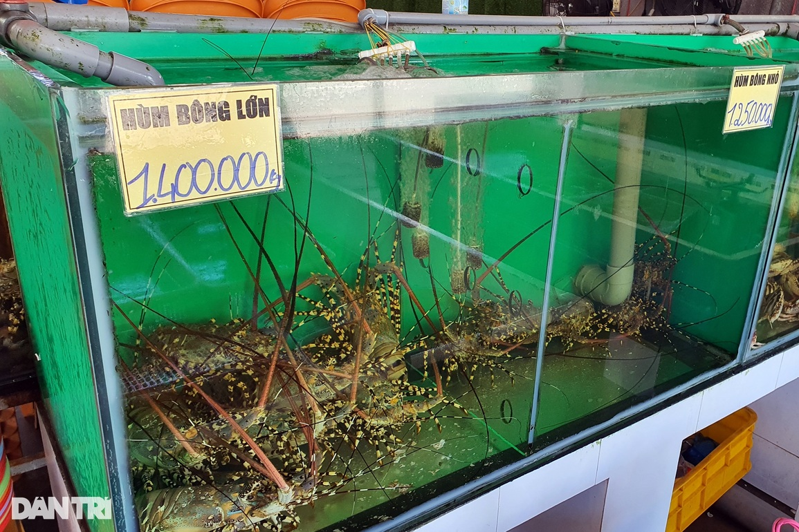 Luật ngầm chia hoa hồng cho tài xế: Nhà hàng chặt chém khách để bù lỗ? - 3