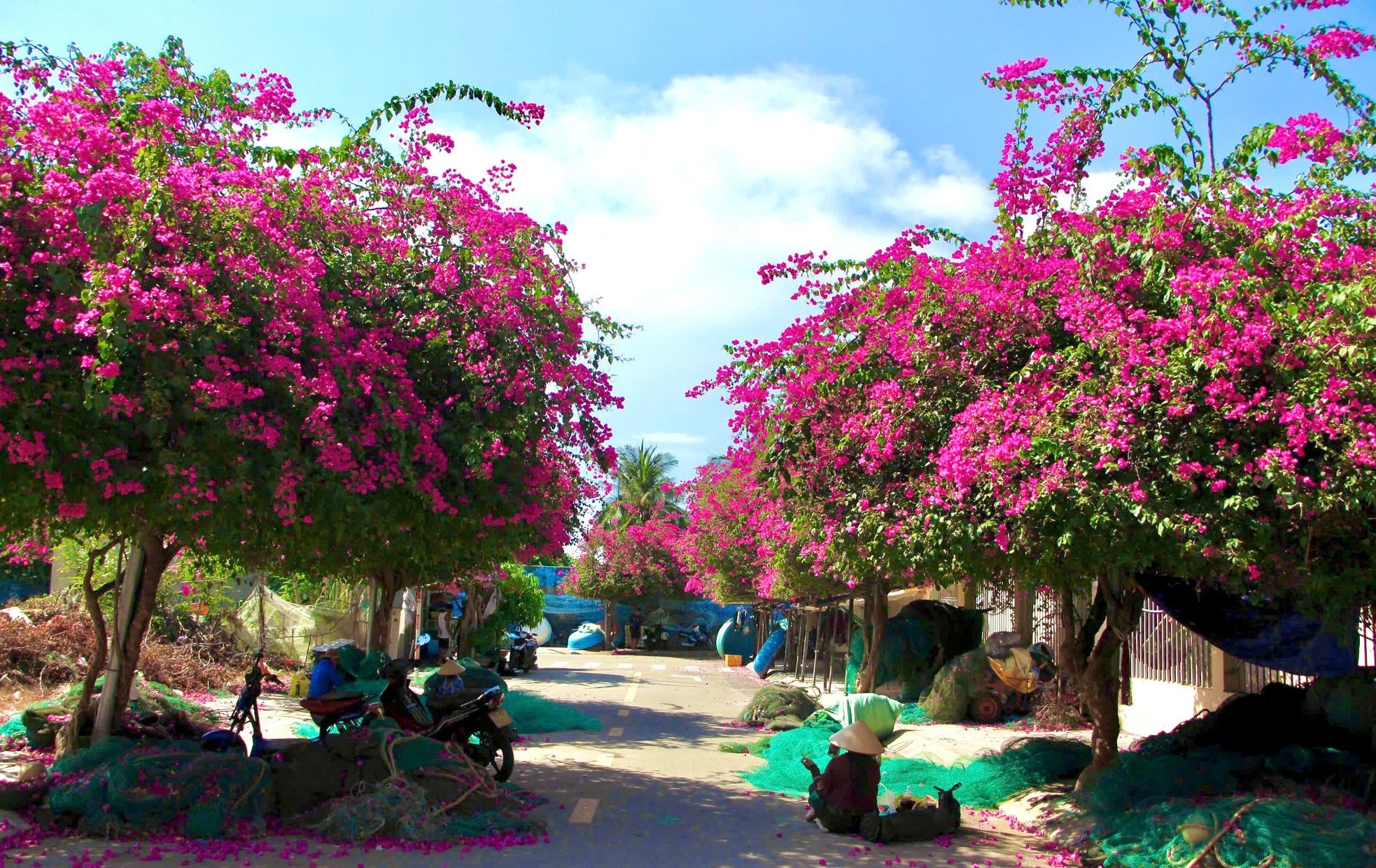 Nha Trang anh 2