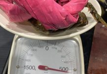 Tranh cãi chuyện khách mua cua gạch phải tốn thêm 200.000 đồng mua dây buộc