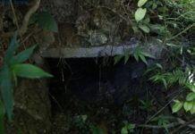 Phát huy giá trị di tích Đồn Cao