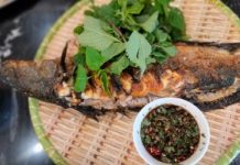 Đến Tuyên Quang thưởng thức cá quả nướng vùng cao