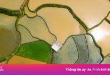 Cảnh xiêu lòng tại Mù Cang Chải mùa nước đổ