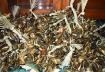 Giữ nghề bánh ú tro ở Hội An