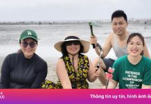 Cào ngao thành ‘trend’ ở bãi biển Hải Phòng dịp lễ