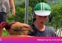 Khách Tây hài hước ôm gà như đại bàng tại Hà Giang