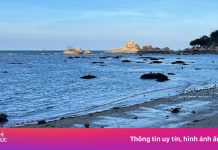 Giăng lưới bảo vệ san hô Nha Trang sau vụ TikToker ‘sống ảo’