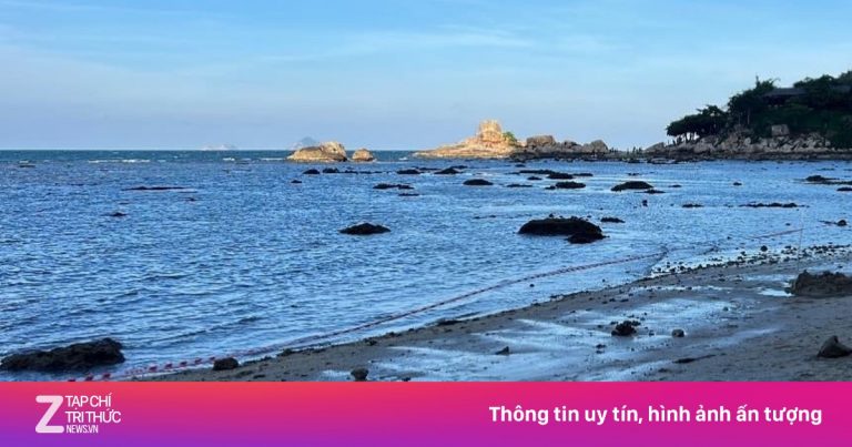 Giăng lưới bảo vệ san hô Nha Trang sau vụ TikToker ‘sống ảo’ Giăng lưới bảo vệ san hô Nha Trang sau vụ TikToker ‘sống ảo’