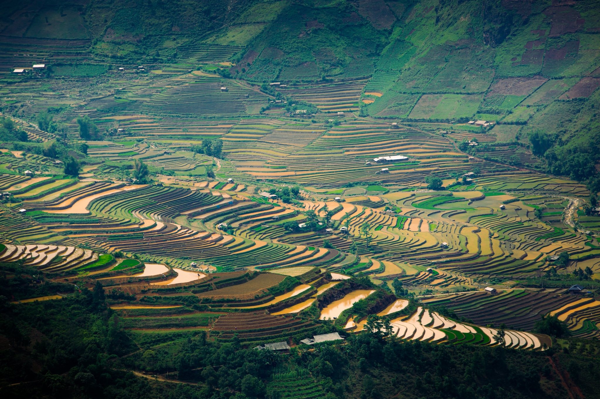 Mu Cang Chai anh 6