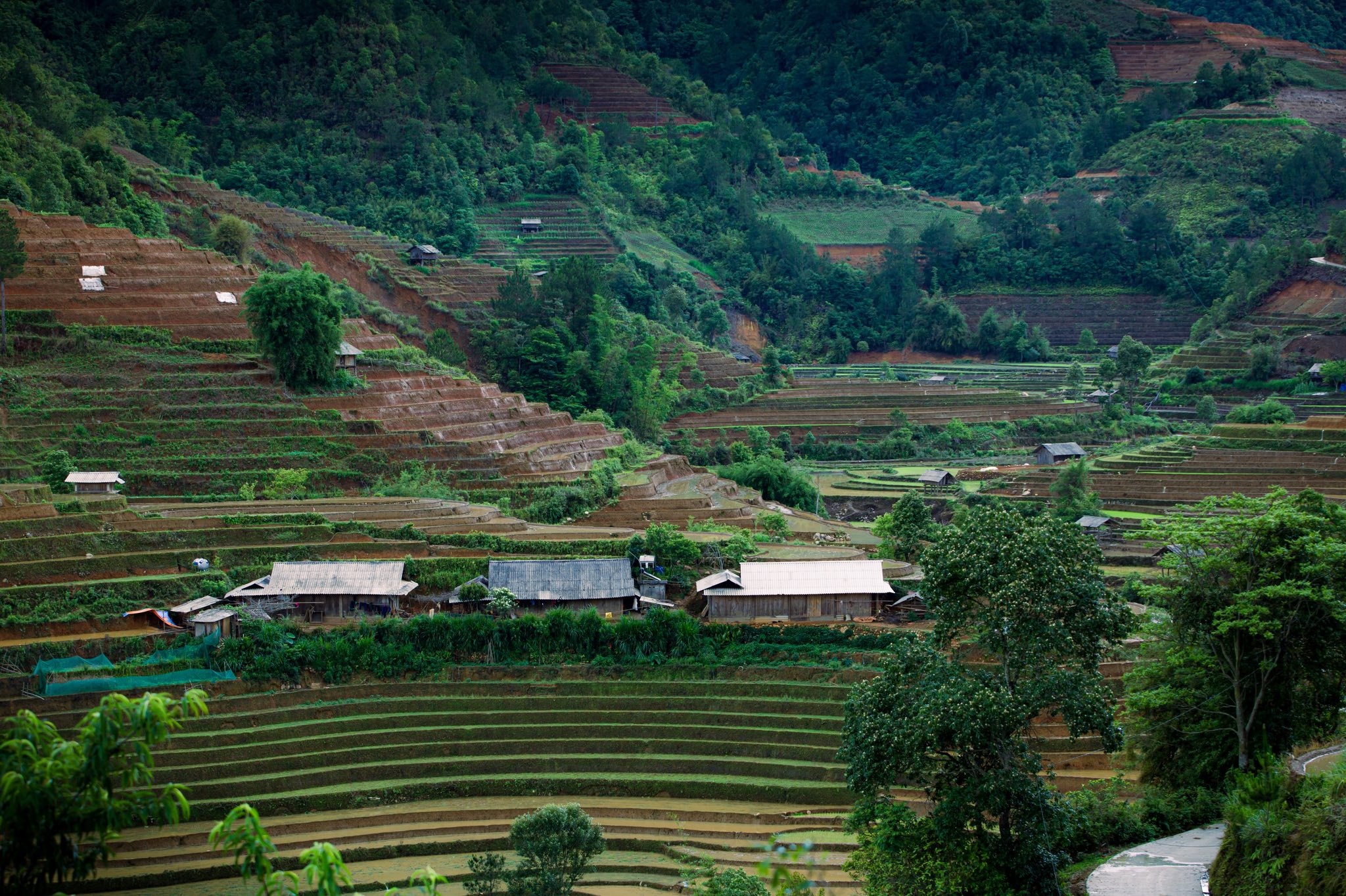 Mu Cang Chai anh 8