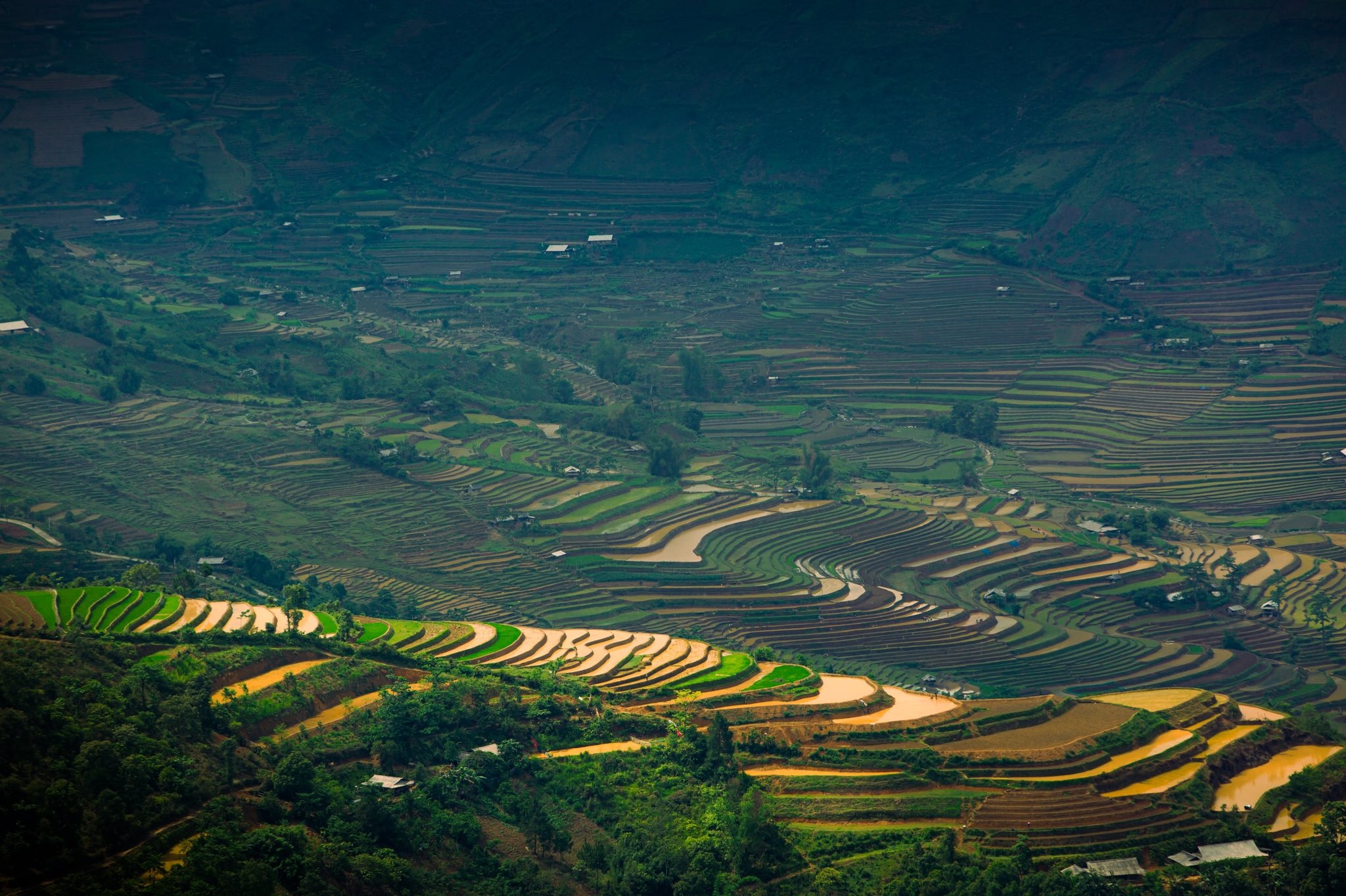 Mu Cang Chai anh 9