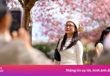 Đi Đà Lạt thế nào khi sân bay Liên Khương đóng cửa?