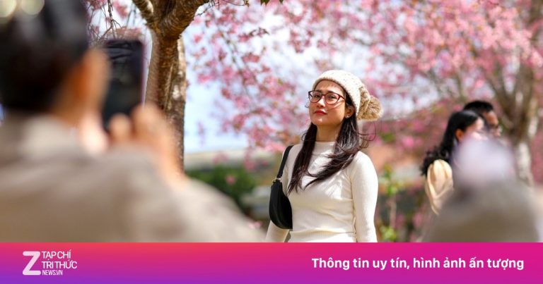 Đi Đà Lạt thế nào khi sân bay Liên Khương đóng cửa? Đi Đà Lạt thế nào khi sân bay Liên Khương đóng cửa?
