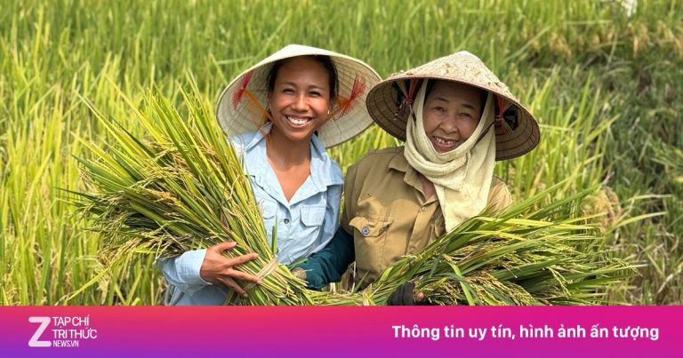 Dẫn khách Tây đón con tan học, thăm bà đẻ, xem nghĩa trang Dẫn khách Tây đón con tan học, thăm bà đẻ, xem nghĩa trang