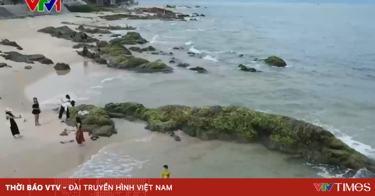 Bình yên bãi rạng thu hút du khách Bình yên bãi rạng thu hút du khách