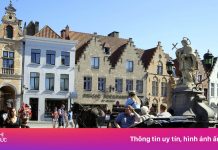 Thành phố Bỉ ‘kêu cứu’ vì khách trộm đá trên đường