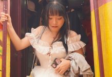 Bình Định chính thức mở tuyến du lịch bằng tàu hỏa ngắm tháp cổ